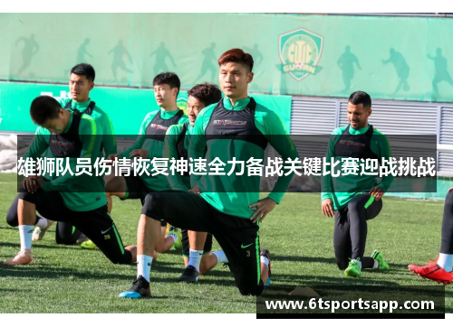 雄狮队员伤情恢复神速全力备战关键比赛迎战挑战