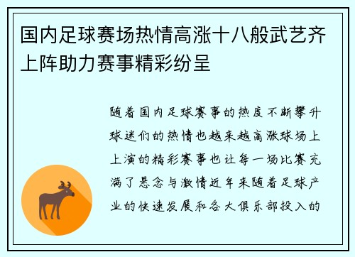 国内足球赛场热情高涨十八般武艺齐上阵助力赛事精彩纷呈