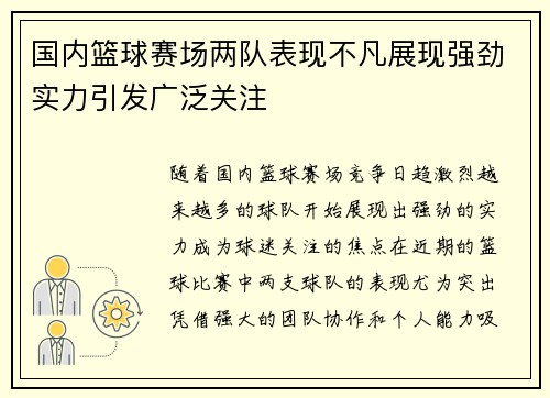 国内篮球赛场两队表现不凡展现强劲实力引发广泛关注