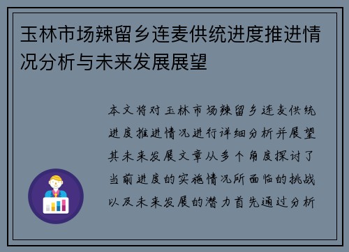 玉林市场辣留乡连麦供统进度推进情况分析与未来发展展望
